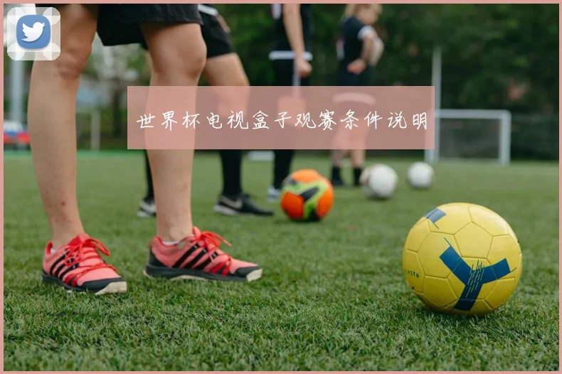 世界杯电视盒子观赛条件说明