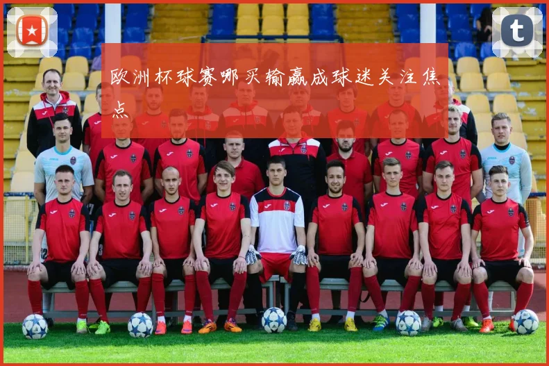 欧洲杯球赛哪买输赢成球迷关注焦点